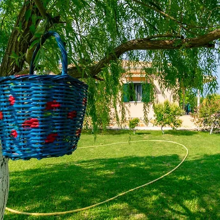 Daire Evaggelia Frínion