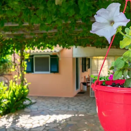 Apartament Evaggelia