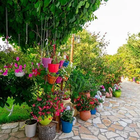 Evaggelia * Frínion