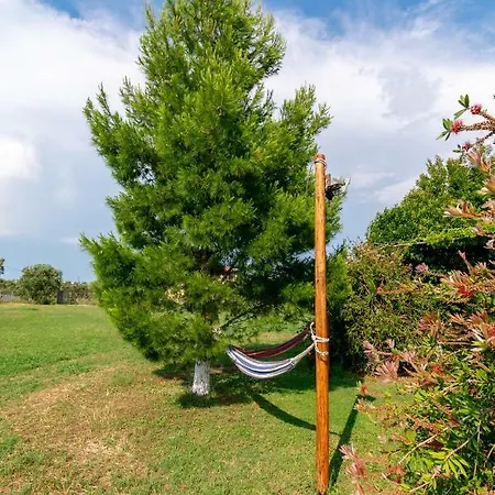 Lejlighed Evaggelia *