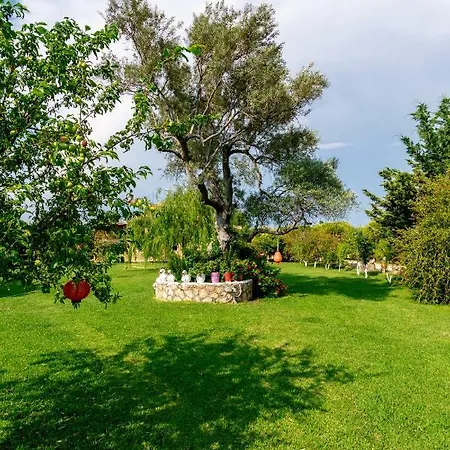 Lejlighed Evaggelia Frínion