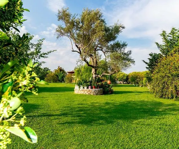 Lejlighed Evaggelia *