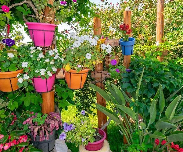 Lejlighed Evaggelia Frínion